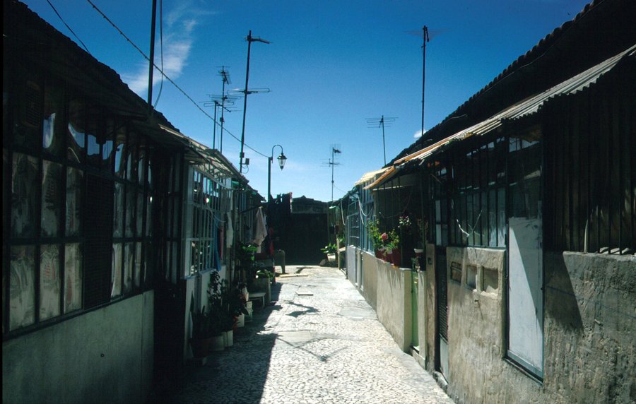 telenovela
