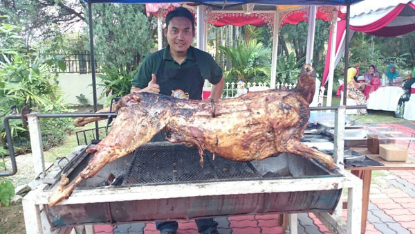 kambing golek selangor 