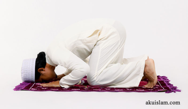 sujud