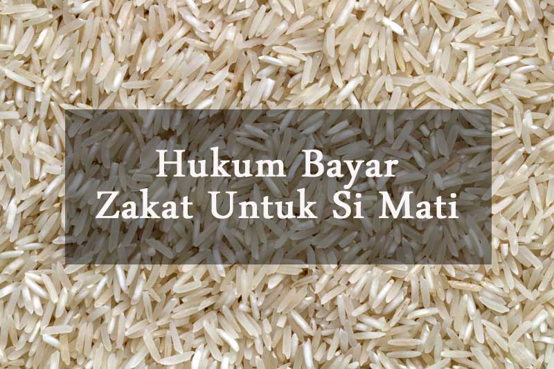 Hukum Bayar Zakat Fitrah Bagi Orang Yang Telah Mati • AKU 