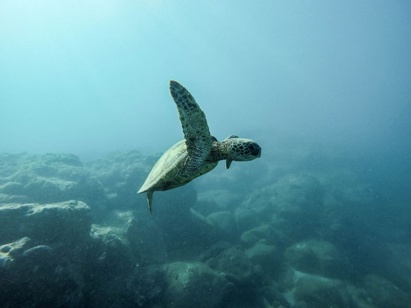 Wuduk Dengan Air Laut