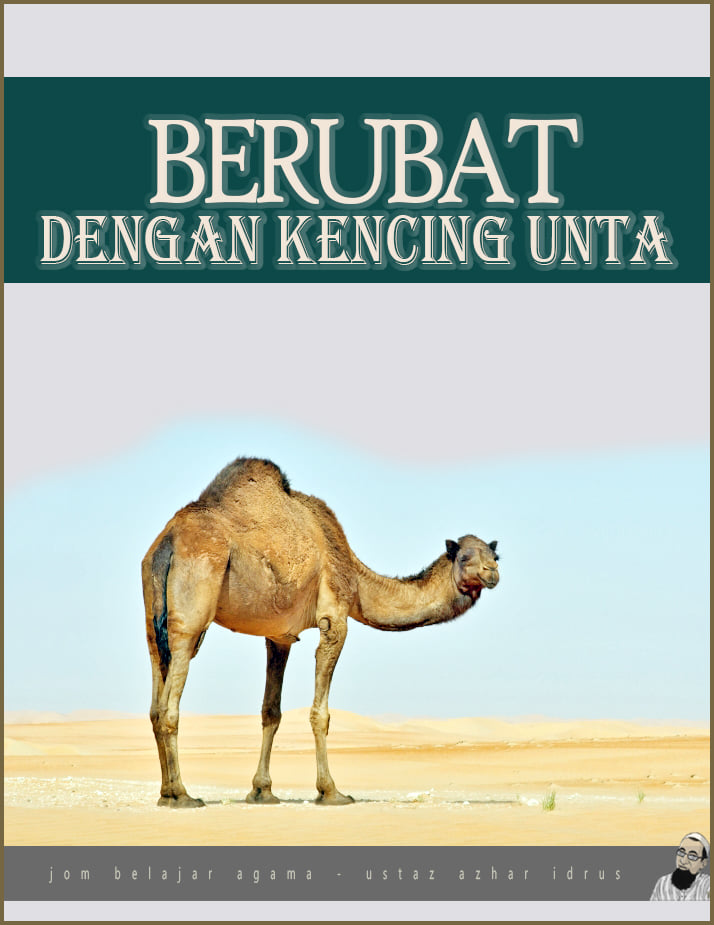 Berubat Dengan Kencing Unta