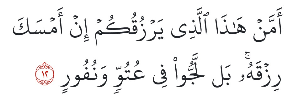 surah al-mulk rumi ayat 21