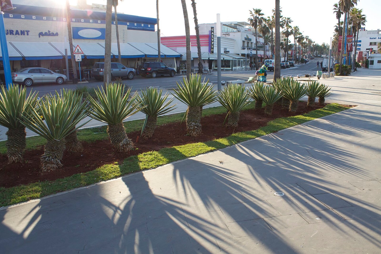 Laluan pejalan kaki dengan deretan pokok palma di Boulevard de la Corniche, Casablanca