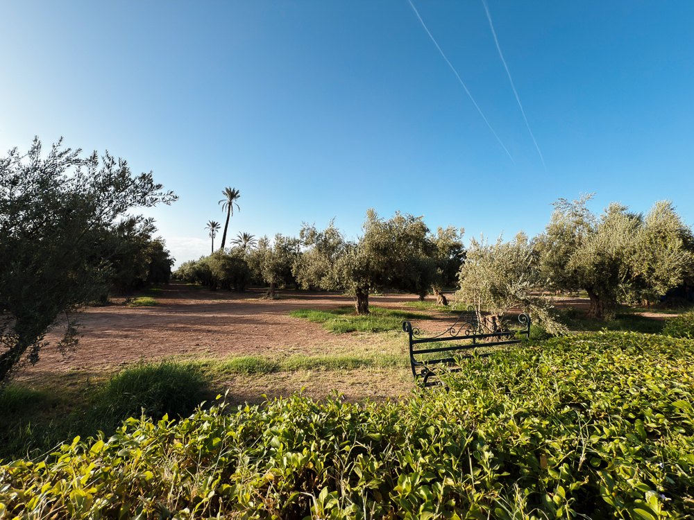 Kebun zaitun dan pagar hijau berhampiran pintu masuk Taman Menara Marrakech