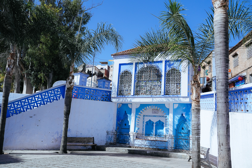 Bangunan biru dan pohon palma di pintu masuk medina Chefchaouen