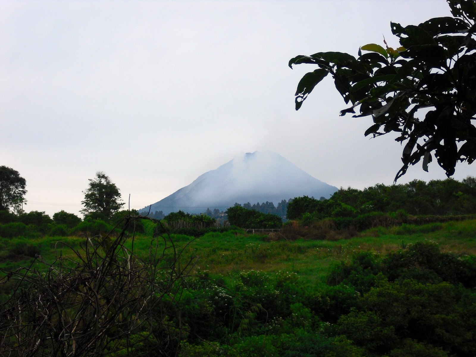 Gunung Sinabung dilihat dari kawasan Berastagi