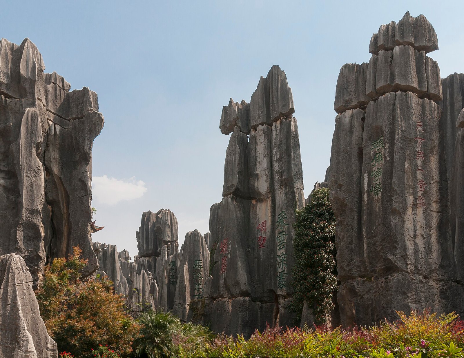 Hutan Batu (Shilin), Yunnan