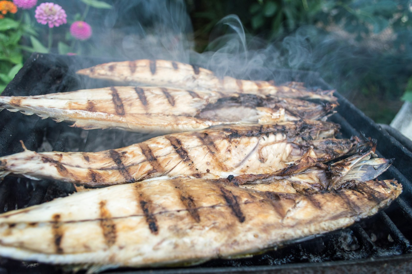 Ikan sardin segar dibakar di atas bara