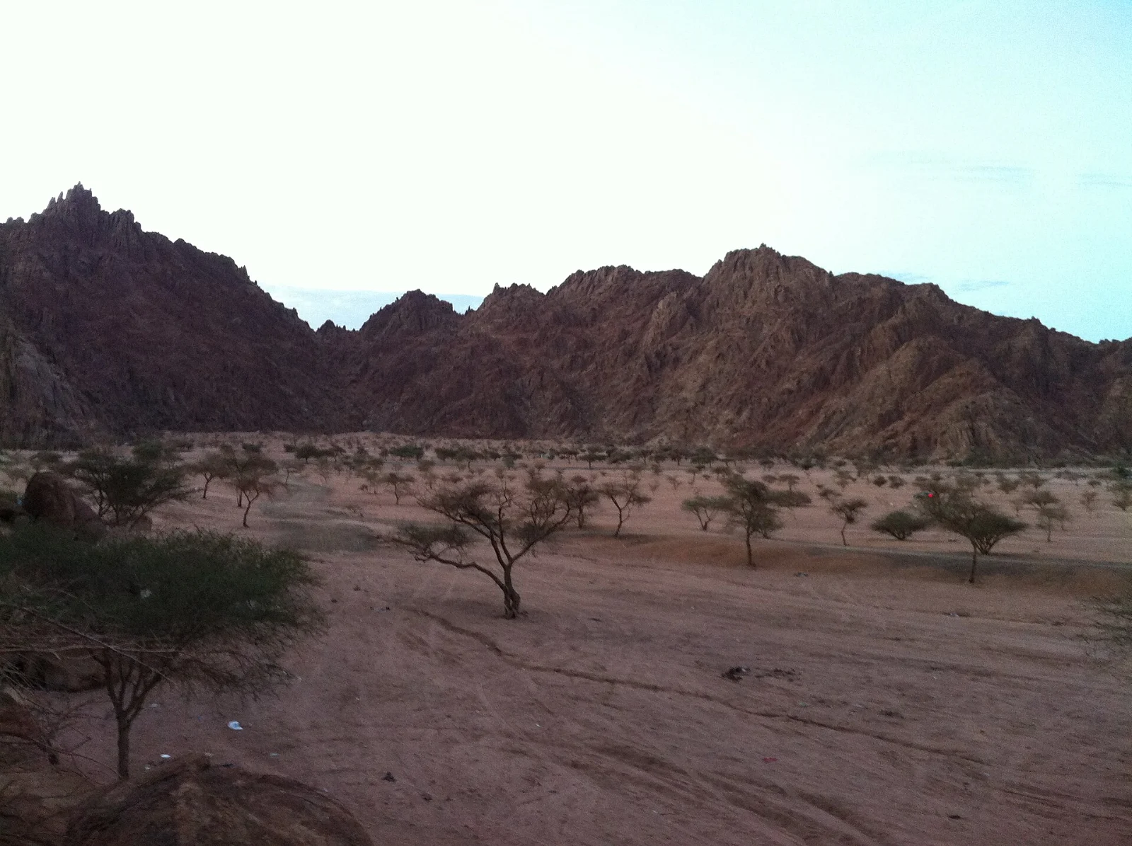 Banjaran gunung dan pepohon akasia di Taman Alam al-Baida, Madinah