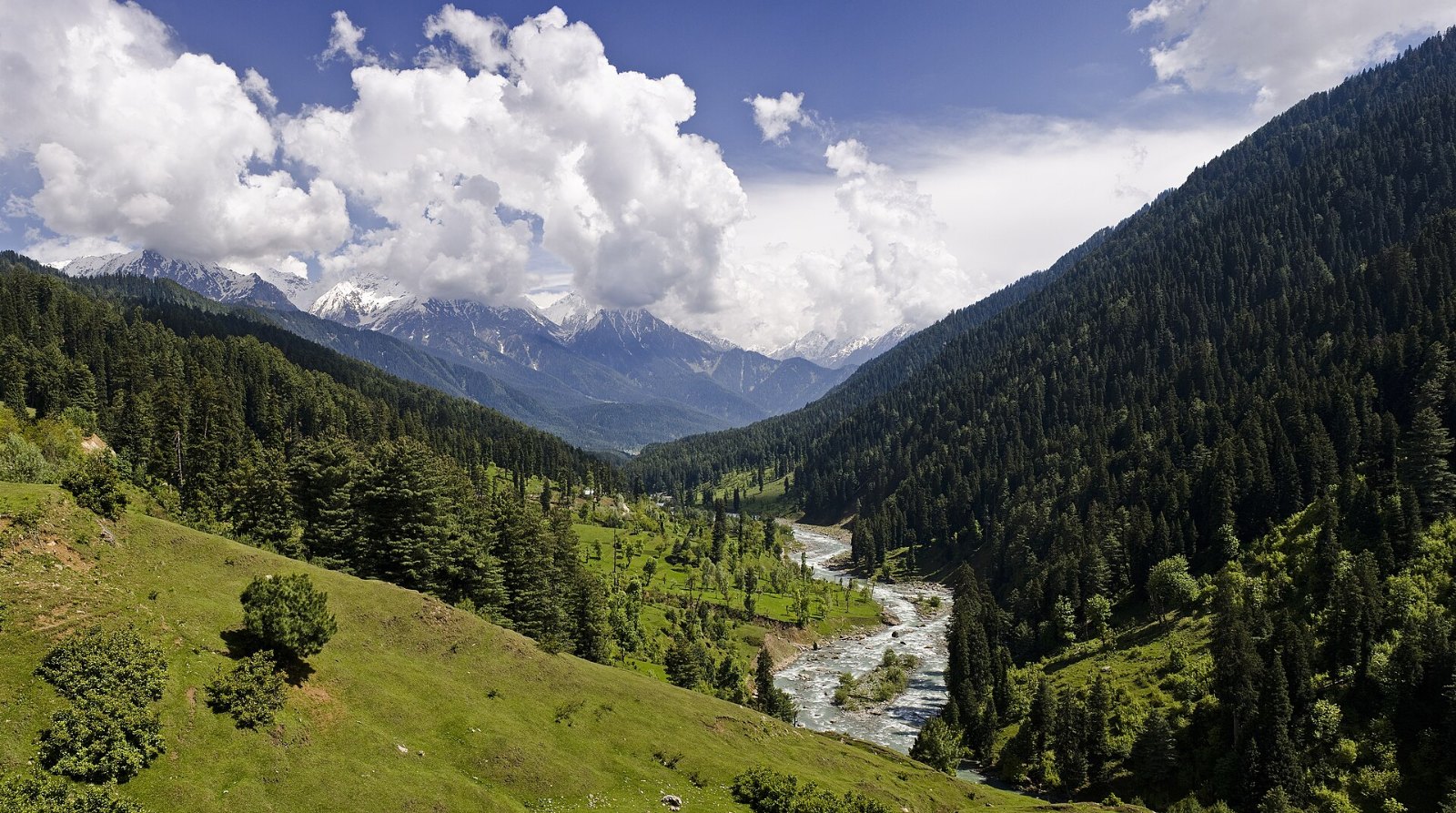 Lembah Pahalgam, Kashmir