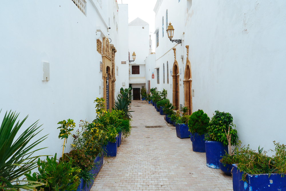 Lorong putih dan biru dihiasi pasu bunga di Kasbah Udayas Rabat