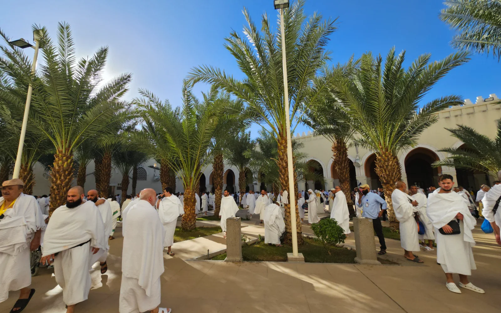 Jemaah berpakaian ihram di halaman berpohon kurma Masjid Miqat Bir Ali
