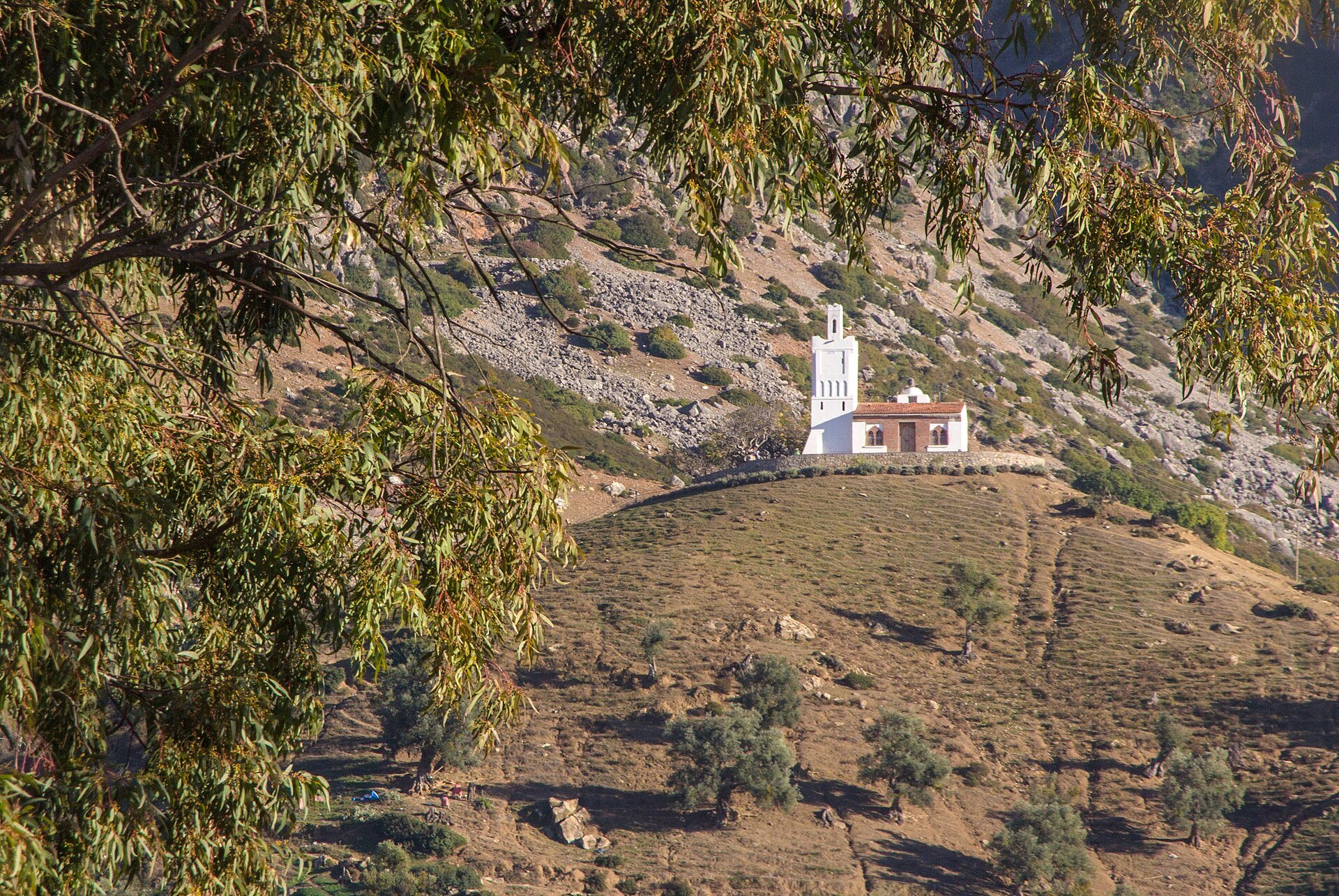 Spanish Mosque di puncak bukit dilihat dari lereng