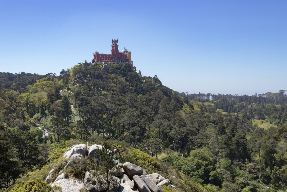 Panduan melawat Portugal, Istana Pena di puncak bukit hutan Sintra