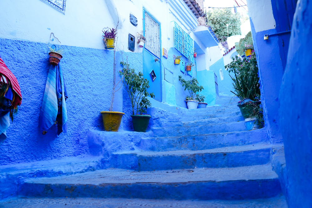 Tangga biru dihiasi pasu bunga di lorong Chefchaouen